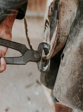 Identification Products